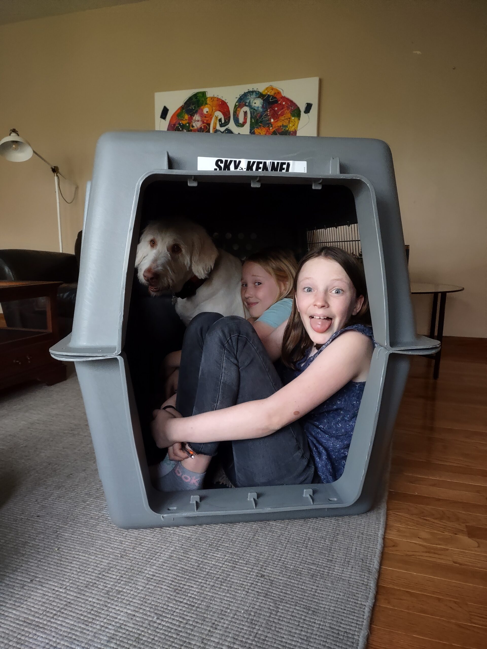 Banjo with kids in dog kennel